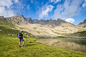 France, Alpes Maritimes, Mercantour National Park, Haute Vésubie, hiking in the Madone of Fenestre Valley, hiker on the edge of the lakes of Prals (2280m)
