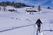 Frankreich, Jura, GTJ große Überquerung des Jura auf Schneeschuhen, Durchquerung majestätischer, verschneiter Landschaften zwischen Lajoux und Molunes