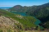 Frankreich, Haute Corse, Castanicia, Chiatra, der Stausee des Alesani-Stausees, umgeben von brennenden Hügeln ein Jahr zuvor