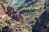 France, Alpes Maritimes, Mercantour National Park, Haut Var valley, departmental road D2202 excavated in the red pelites rocks of the Daluis Gorge and Pont de la Mariée