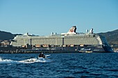 Frankreich, Corse du Sud, Ajaccio, ein riesiger Kreuzfahrtdampfer liegt im Hafen vor Anker