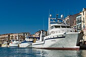 France, Herault, Sete, Flotille of Tuna boats alongside a quay