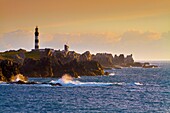 France, Finistere, Ponant islands, Armorica Regional Nature Park, Iroise Sea, Ouessant island, Biosphere Reserve (UNESCO), golden light on the Créac'h lighthouse