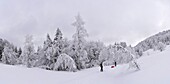 France, Ain, GTJ large crossing of the Jura, the southern part between Cuvery's pass and the deep ski station of Sur Lyand on a Nordic footpath skiing course, panoramic vew in the valley at Billon