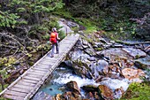 Frankreich, Isere, Nationalpark Ecrins, Veneon-Tal, Wanderung von Saint-Christophe-en-Oisans zur Schutzhütte von L'Alpe du Pin