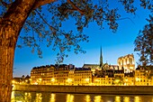 Frankreich, Paris, Seine-Ufer, das von der UNESCO zum Weltkulturerbe erklärt wurde, die Insel Saint Louis und die Kathedrale Notre Dame