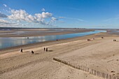 Frankreich, Somme, Baie de Somme, Le Crotoy, Bucht bei Ebbe