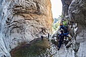 France, Corse du Sud, Bocognano, the end of the Richiusa Canyon, jump in a basin