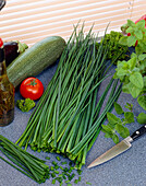 Allium schoenoprasum