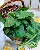 Cichorium intybus chicory leaves