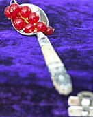 Rote Johannisbeeren auf Silberlöffel