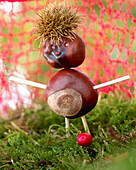 Chestnut man