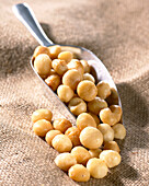 Macadamia nuts in a scoop