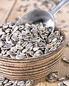 Sunflower seeds in bowl with scoop
