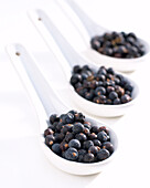 Juniperus communis-Juniper berries