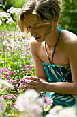 Woman looking at astrantia flowers