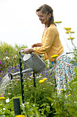 Frau bewässert Sommergarten