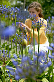 Frau schaut auf Agapanthus-Blüten