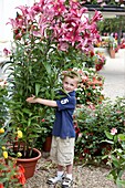 Boy beside tree lilies