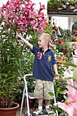 Boy beside tree lilies