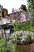 Couple sitting in garden