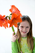 Hippeastrum Orange Souverän