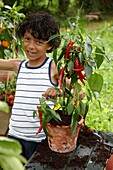 Junge mit Capsicum annuum