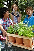 Kinder pflanzen Kräuter in einen Topf