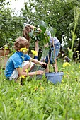 Children planting Capsicum annuum