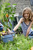 Children planting Capsicum annuum