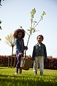 Kinder tragen Baum