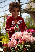 Junge gießt Rhododendron