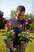 Man holding gerbera