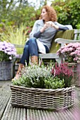 Autumn plants in basket