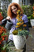 Woman watering Pyracantha coccinea