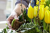 Making floral spring arrangement