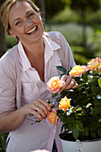 Woman pruning rose