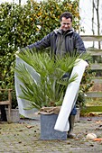 Winter plant protection