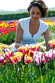 Woman enjoying tulips