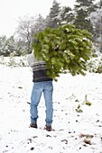 Mann mit Weihnachtsbaum