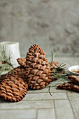 Chocolate biscuits in the shape of pine cones