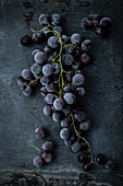 Iced red grapes on a metallic background