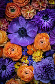 Flatlay in orange-purple - anemone, primrose, pansy and Asiatic buttercup