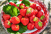 Bowl of fresh strawberries