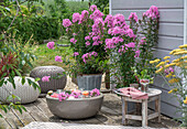 Schwimmteich mit Blüten im Wasser, Hohe Flammenblume (Phlox), Rosen (Rosa) und Windlichter, Schafgarbe (Achillea) und Gräser