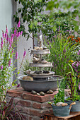 Wasserspiel Etagere, aus alten Zinkschüsseln selber gebaut, neben Gewöhnlichem Blutweiderich (Lythrum salicaria), Sumpf-Schwertlilie und Flatter-Binse