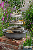 Wasserspiel Etagere, aus alten Zinkschüsseln selber gebaut, neben Gewöhnlichem Blutweiderich (Lythrum salicaria), Sumpf-Schwertlilie und Flatter-Binse