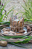 Windlicht umkleidet mit Pfahlmuschel in einem Kranz aus Clematis und Chinaschilf (Miscanthus)