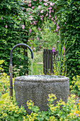 Gartenbrunnen vor Kletterrose, Ramblerrose (Rosa) 'Kirschrose', Hainbuche (Carpinus Betulus) und  Frauenmantel (Alchemilla mollis) im Garten