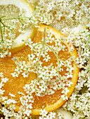 Holunderblüten mit Orangen- und Zitronenscheiben